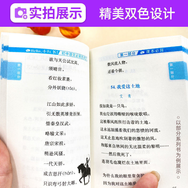 작은 빨간 승마 책 영어 단어 중국어 수학 중학교 1, 2, 3 검토 자료 지식 포인트 포켓북