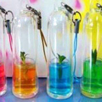 迷你植物微型花卉植物宝宝随身农场魔蛋魔豆促销品商务礼品|ru