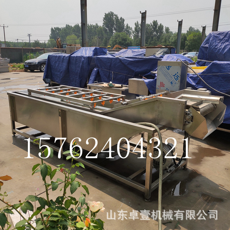 气泡清洗机 清洗蔬菜水果大型商用 不锈钢外壳 高压喷淋鼓泡清洗