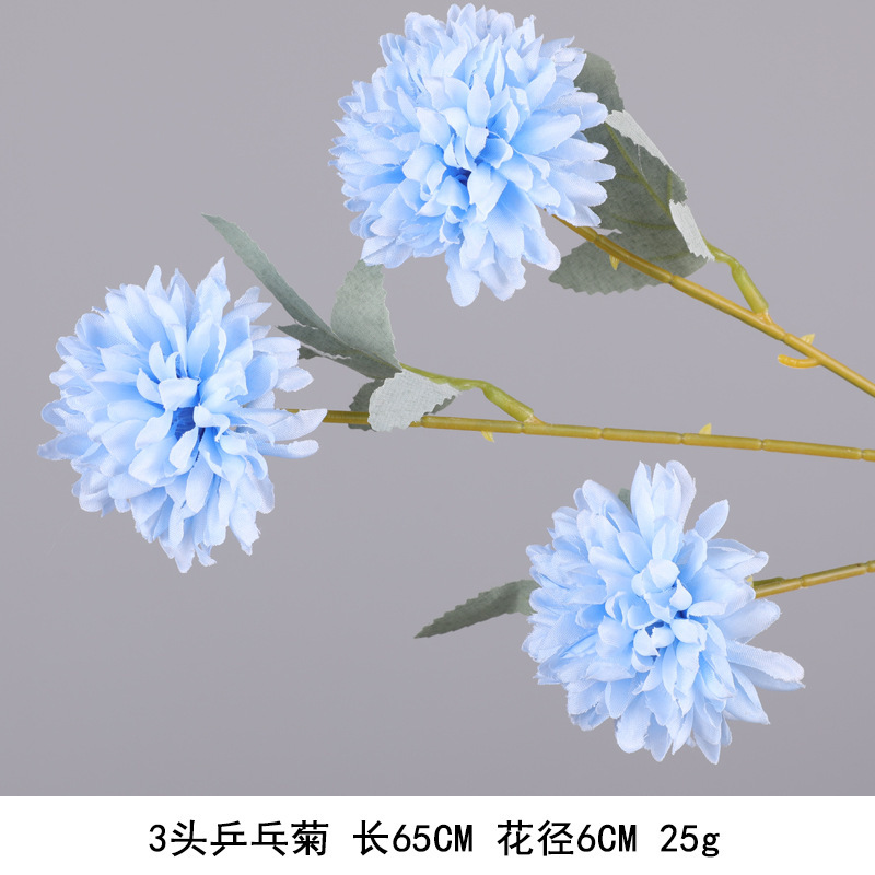 탁구 국화-블루