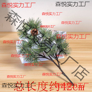 �����ɘ�֦��������֦���^��ᘼ٘�֦�ɰ��}�Q��֦�~ӭ�����b���