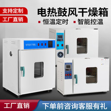电热恒温鼓风干燥箱高温加热烘箱工业烤箱汽车大灯烤箱实验室烘箱