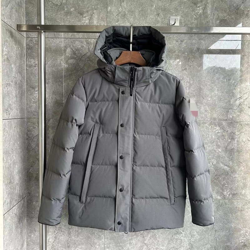 大鹅2048新款连帽白鸭绒羽绒服男女冬季加厚保暖外套简约百搭|undefined