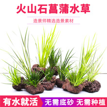 ���׾Gֲ�������쾰ˮ������ˮ���ɽʯ�B��������ֲ�����B�ײ���