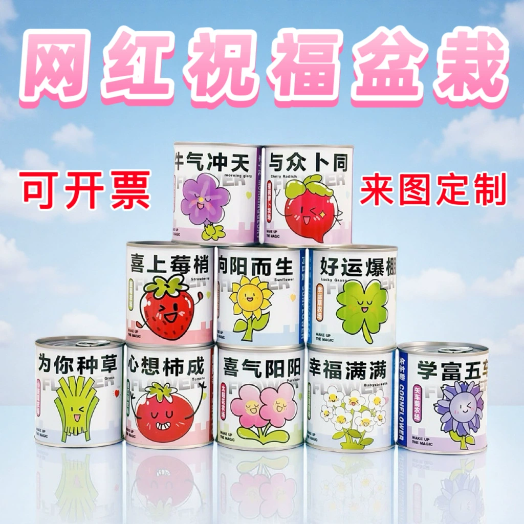 Детские горшки для выращивания растений, набор для наблюдения за ростом и проращиванием семян, подарок для детского сада и начальной школы