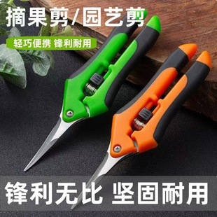 ���������ļ�����֦�����������Ѽ���֦��@ˇ��ժ�������Ի��ܸ�