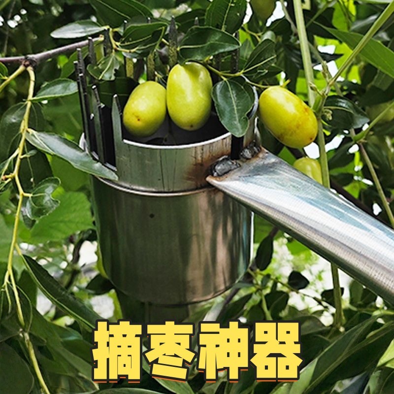 新款酸枣摘果器耐用型防洋辣子不扎手摘酸枣工具杨梅采摘杯|undefined