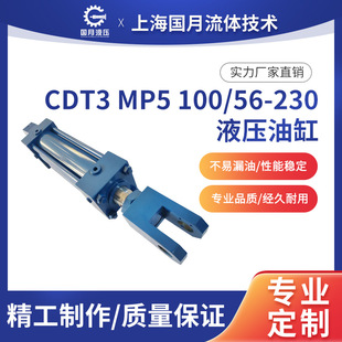 CDT3���U�Ͳ��Һ���͸�	CDT3MP5/100/56/230F1X/B11HHDMWWҺ����