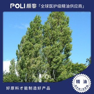俄罗斯进口黑杨树芽精油 天然精油原料香薰 颇黎进口单方精油原液-阿里巴巴