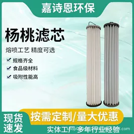 滤芯;活性炭;滤袋