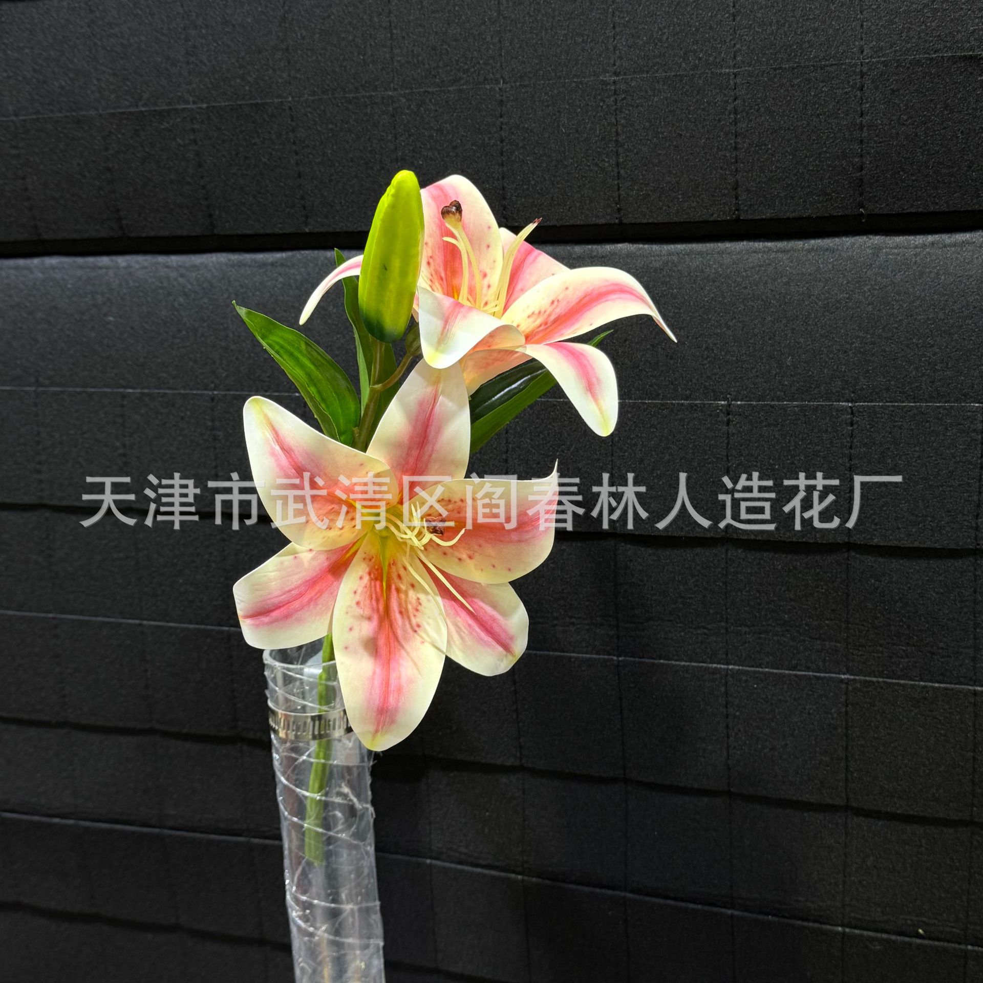 샴페인 가루