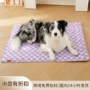 四季夏季必备格子海绵垫