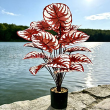 ���R�d�羳���W�L����Gֲ�軨�T���G�q�~�٘��T�ꙻ�b��������