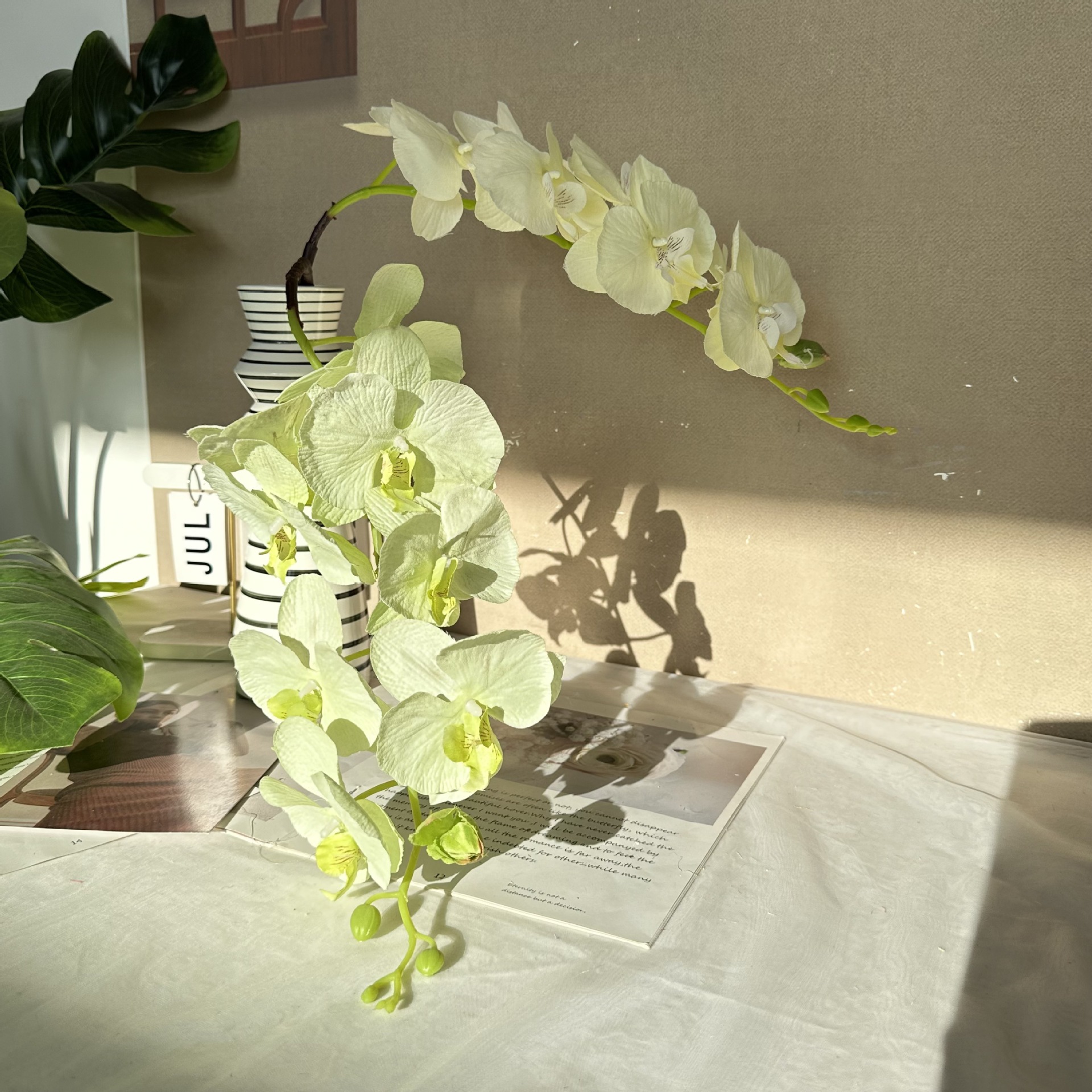Los fabricantes suministran flores secas simuladas en la sala de estar, flores de jarrón, tela de pelo de ocho cabezas, plantas de simulación de Phalaenopsis, adornos de flores secas
