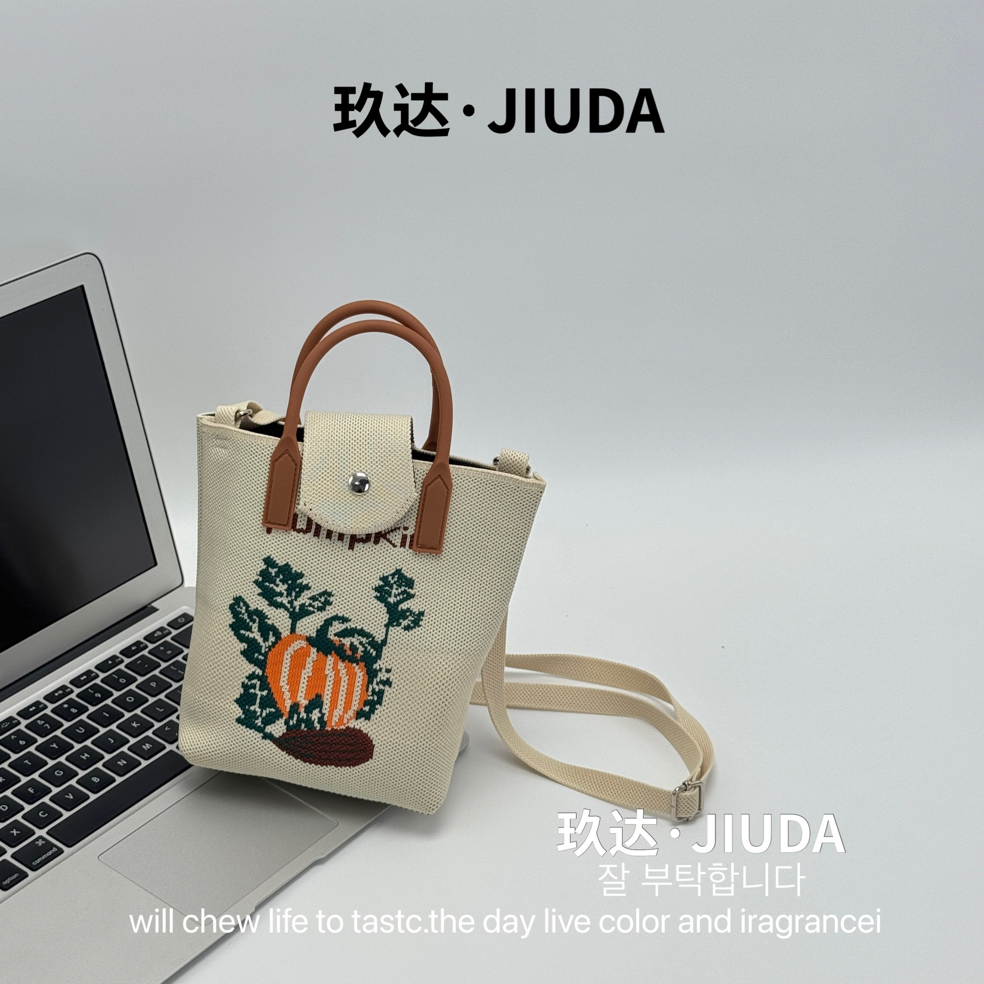 E- 012m 컬러 선인장