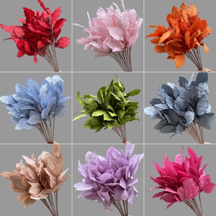 �F���~�ĲĻ�c�b�ӆ��廨���ӻ�Y�ٻ����������÷��滨�~����