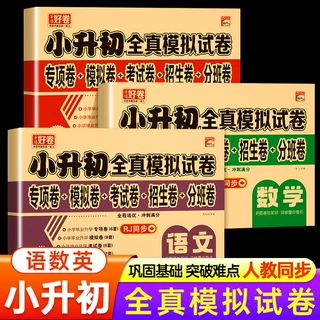 2026新版小升初全真模拟试卷语文数学英语人教版六年级下册复习卷