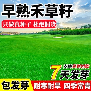 ����̲��Ѱ������`̤�ͺ��ļ�����N��ͥԺ�e���G����ƺ�ݷN����