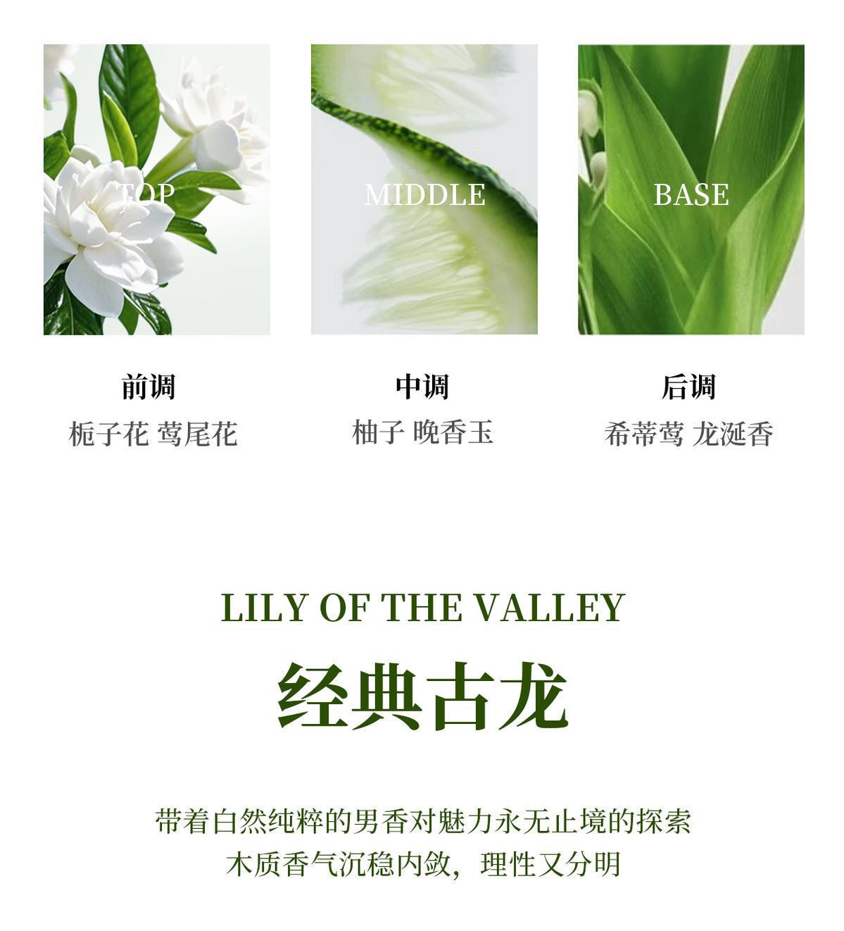 Car Perfume with Long-Lasting Fragrance, Special High-End Car Odor Removal Car Aromatherapy, Five-Star Hotel Special Fragrance
