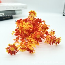 �S�ҹ����羳���R�d�����＾�Gֲ�Ҿ�ֲ�ާջ��ȼ����߷���