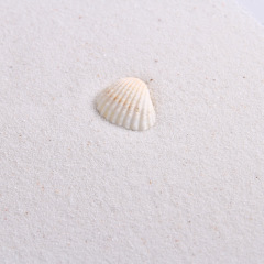 200g白沙攝影拍攝背景道具沙子淘寶手錶珠寶飾品擺飾拍照道具