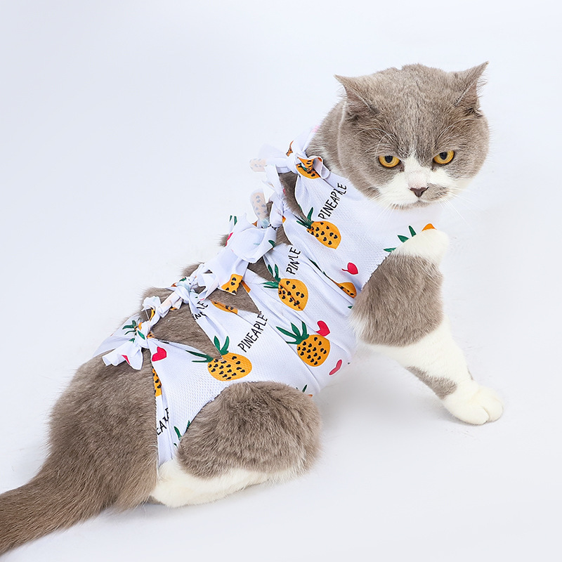 猫の不妊手術服、雌猫の離乳服、ペットの術後舐め防止服、雄猫の手術用ストラップ服、通気性のある離乳服|undefined