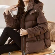 ���ɕr���������q��Ů�����̿�С���ӼӺ�����q2025���¿����