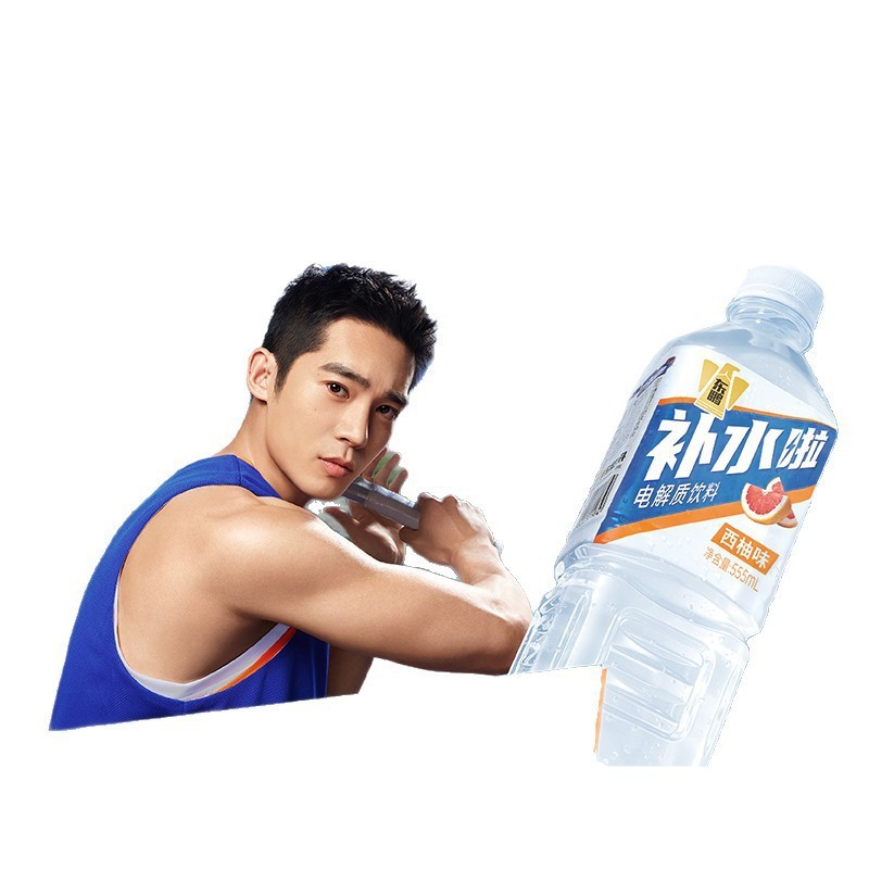 [Yu Shiと同じスタイル] Dongpeng 水分補給電解質水ドリンク 555ml*8 ボトル フィットネス塩サプリメント マルチフレーバー|undefined