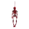 Skeleton, decorations, jewelry, props, suitable for import, halloween, 40cm, Amazon