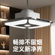 棋牌室麻将机吸烟灯空气净化器麻将房室内专用升降吊灯直外排烟机