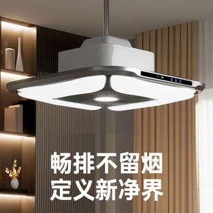 Chess and Card Room Mahjong Machine Smoking Lamp Air Purifier Mahjong Room Indoor Special Adjustable Chandelier Straight Outdoor Smoke Exhaust Machine
