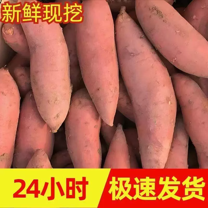 正宗板栗糖心沙地新鲜黄心地瓜番薯蜜薯农家山芋红薯香甜便宜烟薯