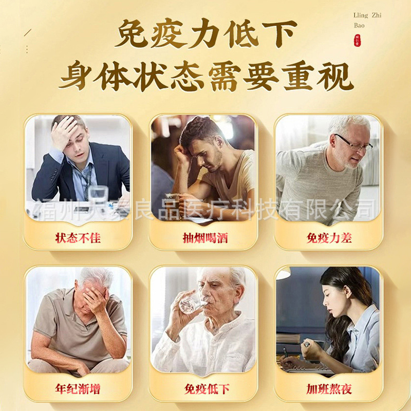 北京銅仁堂内廷使用壁破壊霊芝胞子粉末ソース工場ドロップシッピング|undefined