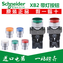 ʩ͵oXB2BW33B1C 34B1C 35B1C XB2BW33M1C 34M1C 35M1C