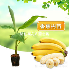 �۽����簫���㽶����ʵ۽��t�㽶����V�|�۽����ͺ����һ̖��