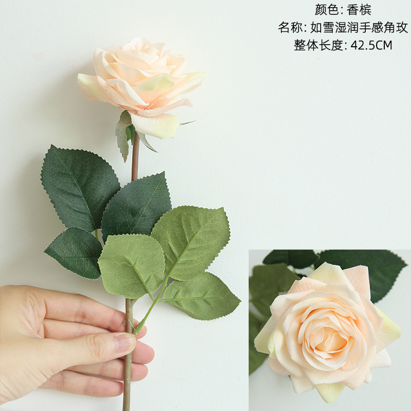 샴페인