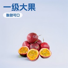 新鲜摘紫皮百香果代发特大原浆白应季西番莲孕妇水果整箱装