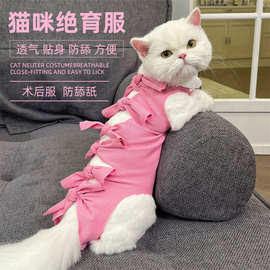 猫咪绝育服母猫手术服衣服透气戒奶服奶服公猫防舔术后宠物猫猫