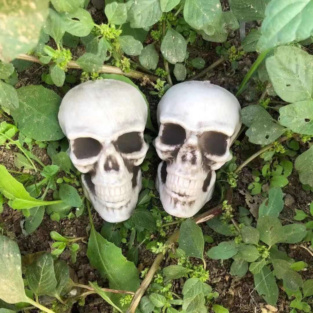 9F5B4D75D46716A9135C68FB9E5639