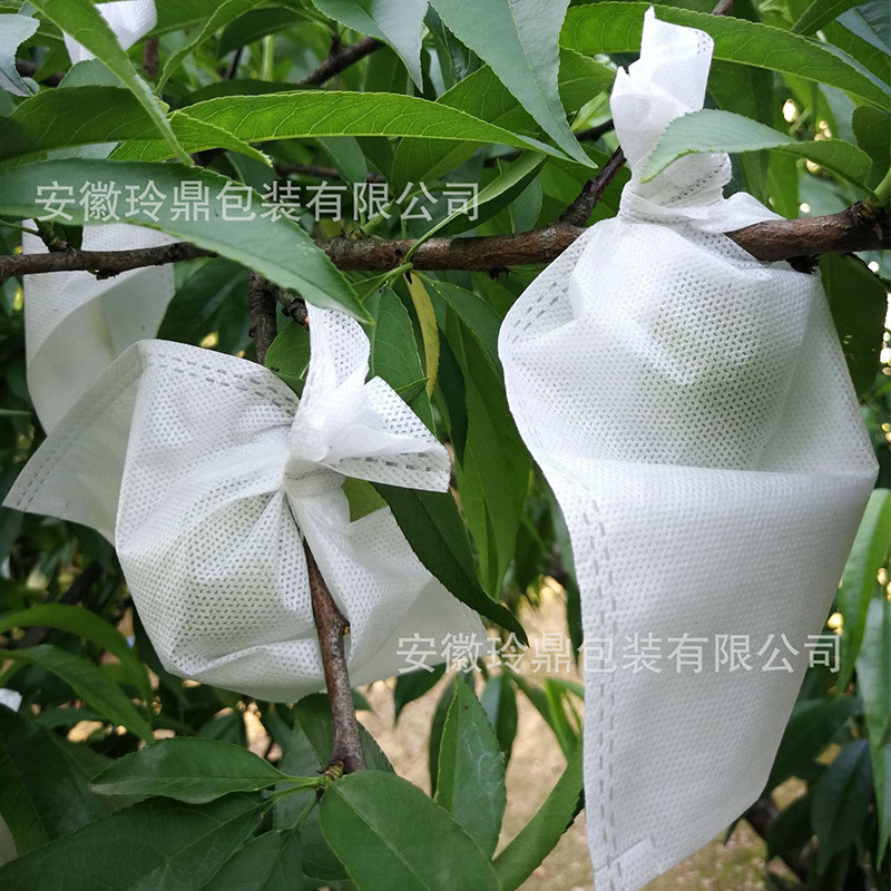 无纺布水果套袋石榴枇杷桃子梨子防鸟防农药残留保护袋自带铁丝扎