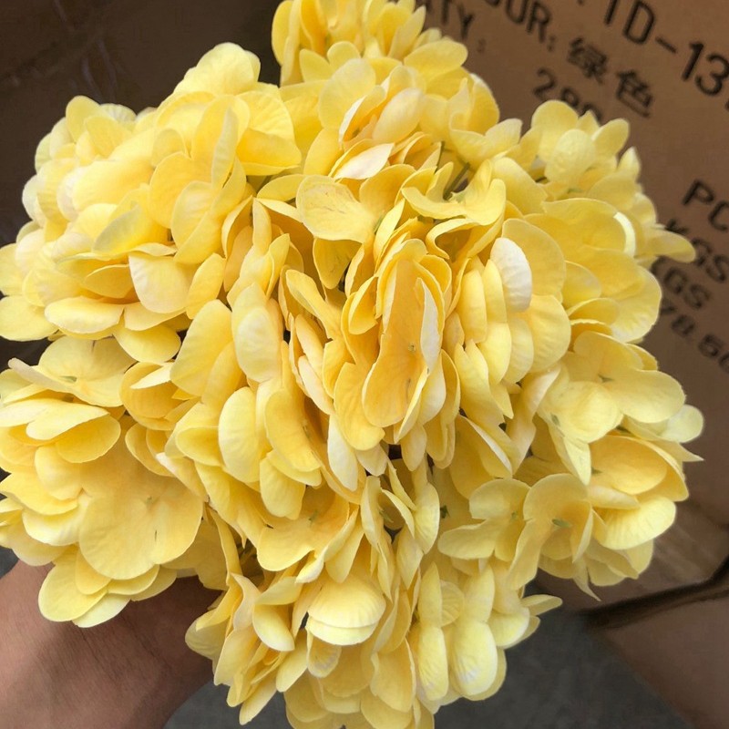 Jaune