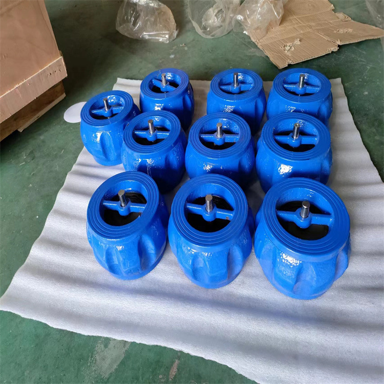 H71X-16 DN50 铸铁铜杆南瓜型止回阀 单向阀 H71X-16C