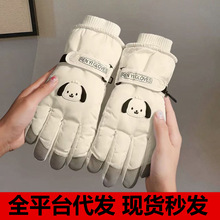 �¿ѩ����Ůʿ�����T�б�ů�ӽq�Ӻ�|�������ɐیW����������