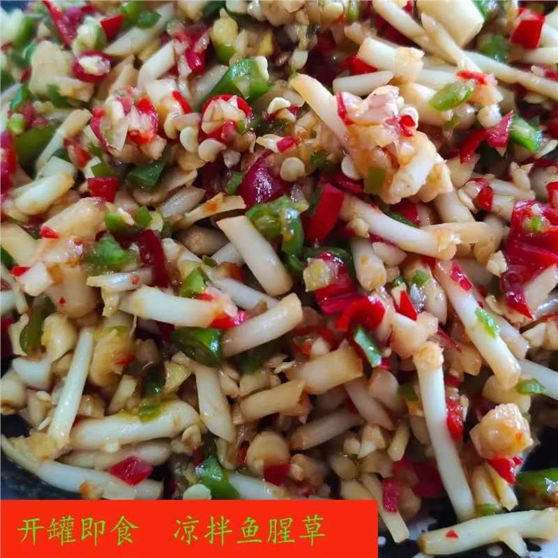 工厂直销】凉拌折耳根酸辣即食新鲜鱼腥草袋装腌剁椒下饭速食菜|undefined