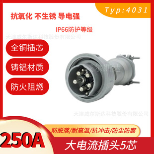 Special High Current Industrial Plug Typ-4031 Wesd Shore Power Waterproof Plug 250A 5 Core Ip67