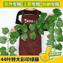 �ٗl���ټٻ�����ֲ�������~���~�G�~ˮ�ܵ�����b��������