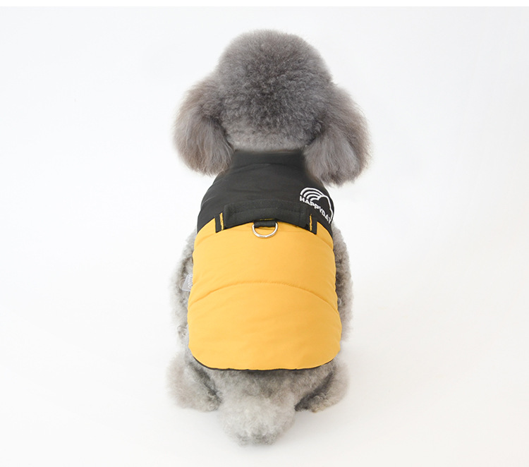Yellow Dog Coat