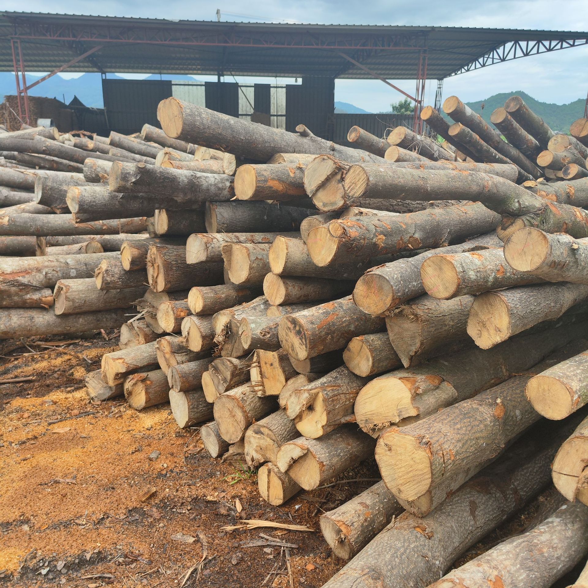 03c8006da149cbb07e86f1f7cca826