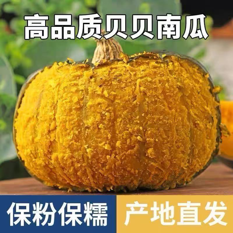 Authentic Weifang Beibei Pumpkin with Chestnut Flavor, Small Beibei Pumpkin, Fresh Fruit and Vegetable, Soft and Sweet, Farm-Grown, with a Natural Sweetness Authentic Weifang Beibei Pumpkin with Chestnut Flavor, Small Beibei Pumpkin, Fresh Fruit and Vegetable, Soft and Sweet, Farm-Grown, with a Natural Sweetness
