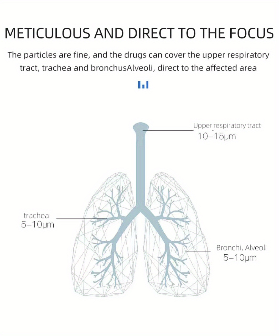 f956181e-e5db-4aa8-9d3b-27e06a
